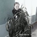 ���� �������, ����-���������, 31 ��� - ��������� 4 ����� 2013 � ������ ���� ����������