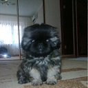 ���� �����, ��������, 51 ��� - ��������� 10 ���� 2012 � ������ ������