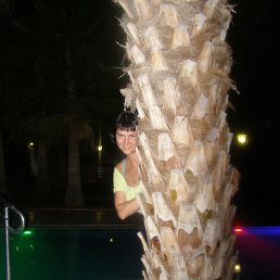 ������ ���������� ����))))