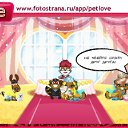 ���� Melena, �����, 38 ��� - ��������� 18 ������ 2011 � ������ �PetLove�