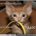 ���� K@pel^�@__���__������, ������ - ��������� 6 ���� 2010 � ������ ������