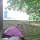 ���� �����, ����� - ��������� 8 ���� 2012 � ������ ���������� ������