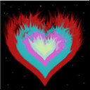   Fenix, , 38  -  25  2013     