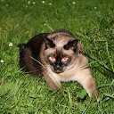 ���� �����, ������, 52 ���� - ��������� 28 ������ 2012 � ������ ���� ����������