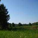  , , 37  -  15  2009    