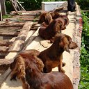 ���� &deg;&bull;*������&deg;&bull;*, ����������, 23 ���� - ��������� 3 ���� 2010 � ������ ��������!�