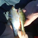 ���� �� ��� �������.�,!!!!!!!!! �� ������� ���� ����������