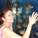 ���� ����, ������, 49 ��� - ��������� 22 ������� 2012 � ������ ���� ����������