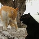  ,  -  19  2011       ...