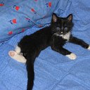 ���� ��������, ������ - ��������� 26 ������ 2010