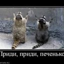 ���� �����, �������, 36 ��� - ��������� 29 ������ 2010 � ������ ���������