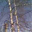 ���� ������-�, ����, 63 ���� - ��������� 7 ����� 2012 � ������ ������Ż