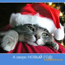 ���� �������, ��������� - ��������� 13 ������� 2011 � ������ �http://fotostrana.ru/sports/collections/giftitem?toPetId=5431402itemId=44�