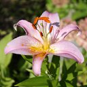 ���� ����, ������, 38 ��� - ��������� 28 ���� 2010 � ������ �������