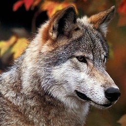 ���� �������, ������ - ��������� 13 ���� 2013