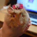  ***@@***,  -  2  2013    