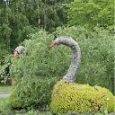 ���� ������, ���������, 62 ���� - ��������� 12 ���� 2012 � ������ �12 �����