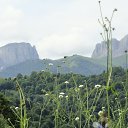 ���� �������, �����-��������� - ��������� 8 ������� 2011 � ������ ������ �� ������� ���� 2011�.�