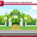 ���� ����, ����, 44 ���� - ��������� 10 ������� 2010 � ������ �PetLove�