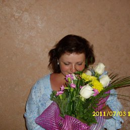 �������, �����, 51 ���