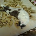 ���� ������, ������, 38 ��� - ��������� 6 �������� 2011 � ������ �������