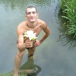 ���� �������, �������, 41 ��� - ��������� 2 ������� 2011