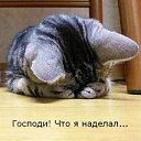  , -, 39  -  10  2009    