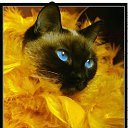���� �����, ����������� - ��������� 28 ����� 2012 � ������ ���� ����������