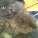 ���� Alex Andr, ���������, 42 ���� - ��������� 15 ������� 2009 � ������ ������ ��������