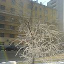 ������ �����