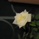 ���� ��������, ��������������, 50 ��� - ��������� 27 ������ 2011 � ������ �BEST!!!!!�