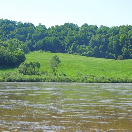 ���� ��������, ���� - ��������� 3 ���� 2013