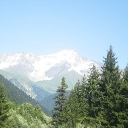 Tengiz Chiqviladze, �������, 68 ���