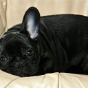 ���� Alex, �����������, 48 ��� - ��������� 2 ��� 2012 � ������ ���� ����������