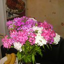 ���� Aleksandr, ������, 65 ��� - ��������� 12 ���� 2012 � ������ ����� 2012 ���