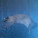 ���� Diana, ���������, 57 ��� - ��������� 7 ���� 2013