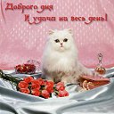 ���� ������, ����, 51 ��� - ��������� 16 ������ 2010 � ������ ��...�