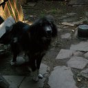���� ���������, ��������, 32 ���� - ��������� 3 ���� 2012 � ������ ���� ����������