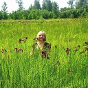 ���� �������, ���������, 52 ���� - ��������� 27 ������� 2012 � ������ ���� ����������