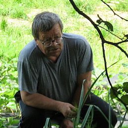 ��������, ������, 78 ���