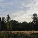 ���� ����, ������, 56 ��� - ��������� 26 �������� 2012 � ������ �������