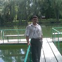 ���� �����, ���������, 42 ���� - ��������� 31 ���� 2013 � ������ ���� ����������