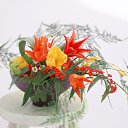 ���� ����� - ���������� ��������!!!, �����������, 56 ��� - ��������� 16 ������ 2010 � ������ ������ۻ