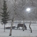 ���� �����, ������, 41 ��� - ��������� 30 ������ 2013 � ������ ����������