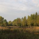 ���� ����, ������, 56 ��� - ��������� 26 �������� 2012 � ������ �������