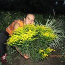 ���� �������, ��������, 42 ���� - ��������� 31 ��� 2013 � ������ ���� ����������