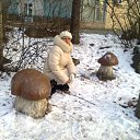 ���� �����, ���������� - ��������� 29 ������ 2012 � ������ ���� ����������