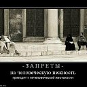 ���� ����, ������, 48 ��� - ��������� 8 ���� 2011 � ������ ����