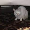 ���� �������, ������, 56 ��� - ��������� 26 ������ 2011 � ������ ���� �������� �����))�