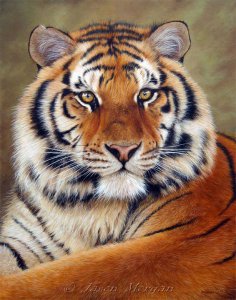 ���� Robert, ������, 43 ���� - ��������� 27 ������ 2012